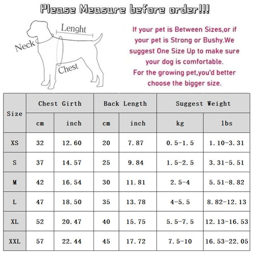 Cat Clothes, Bear Two-legged Cotton-padded Clothes For Kittens, With Fleece Added For Warmth In Autumn And Winter. Two-legged Small Dog Pet Clothing