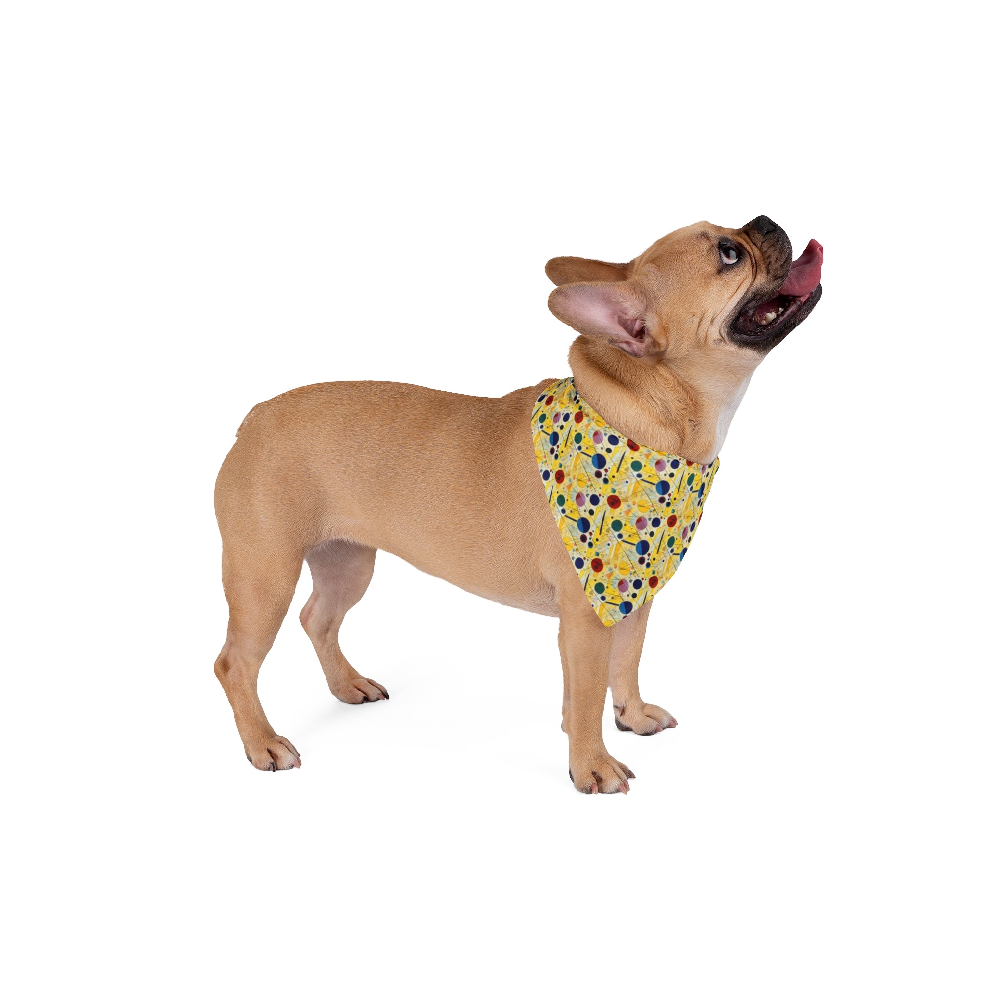 Geometría iluminada por el sol: Órbitas y líneas en movimiento repetitivo - Pet Bandana Pet Zen