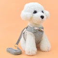 Dog chest strap cat leash