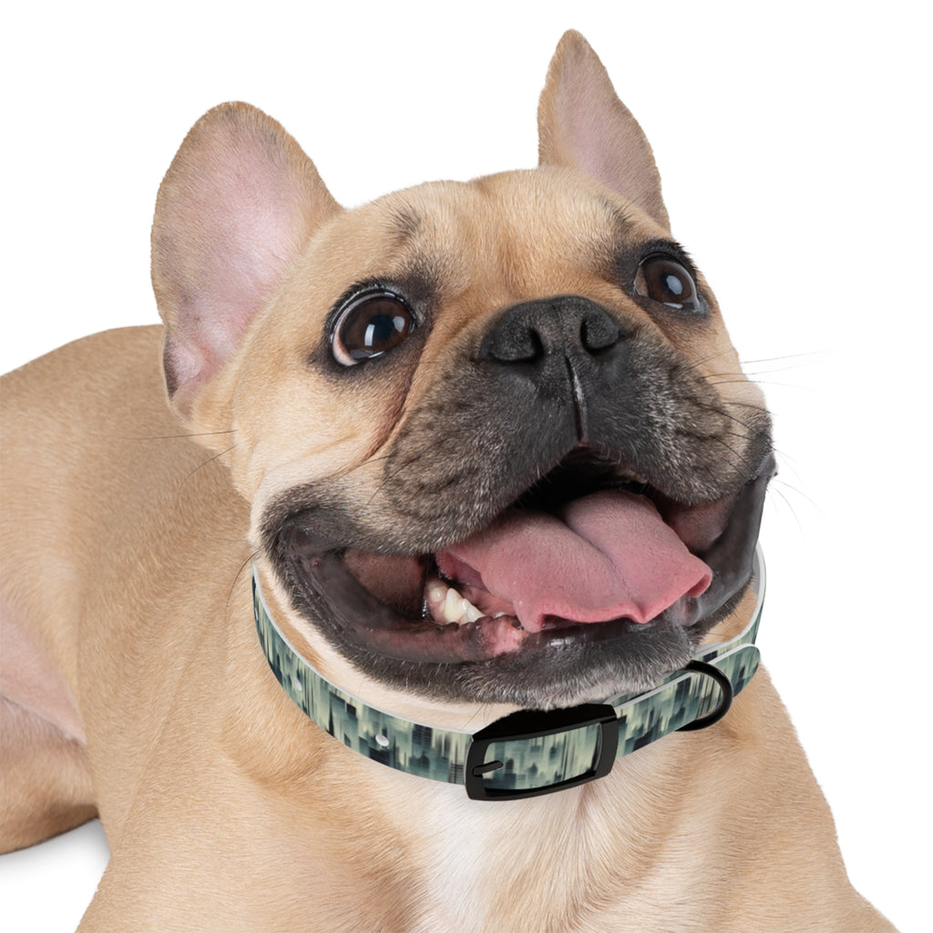 Ecos de una ciudad en la niebla y la repetición - Collar para mascotas Pet Zen