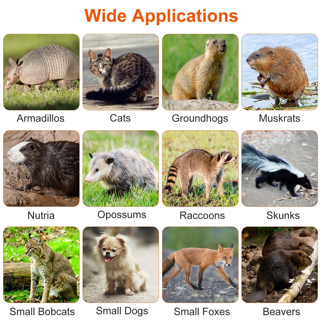 26beacc64c03e684277d0e08160a33c9