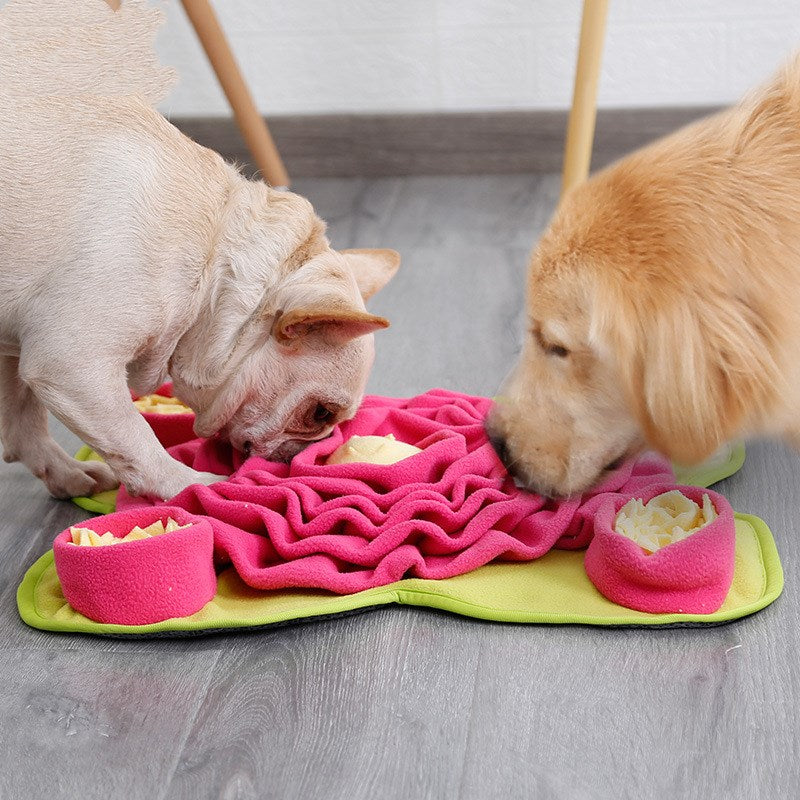 Dog sniff mat training blanket