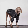 Dog Clothes For Medium To Large Breeds Autumn Black Leather Jacket For Labradors, Golden Retrievers, And Samoyeds