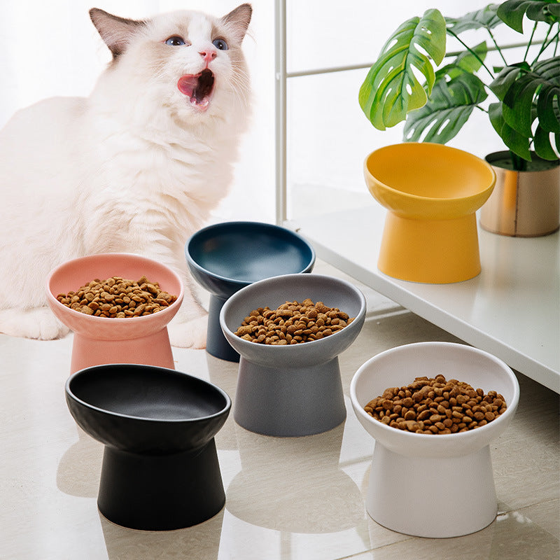 Oblique Mouth High Foot Candy Color Cat Bowl