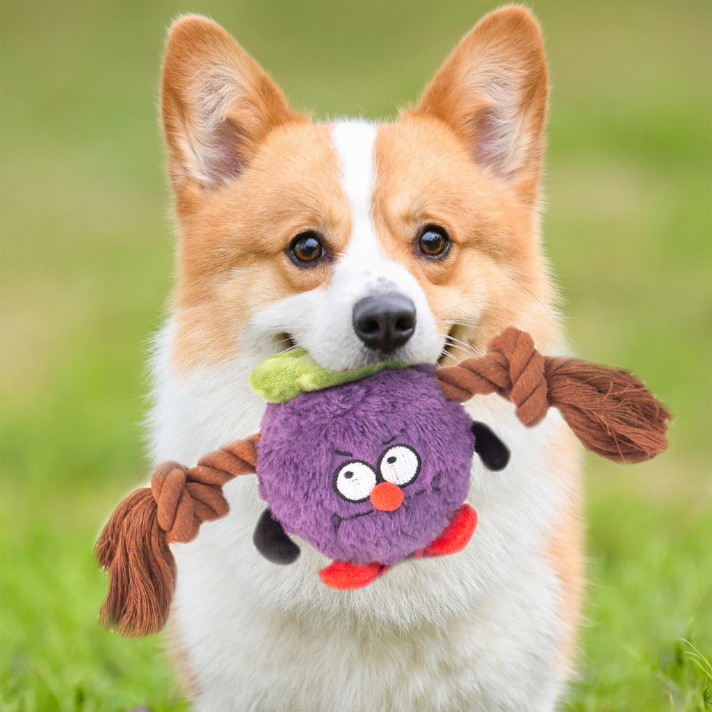 Interactive Dog Toy Plush Rope Knot Tug Of War Game Bb Bite Resistant Molar Tooth Toy