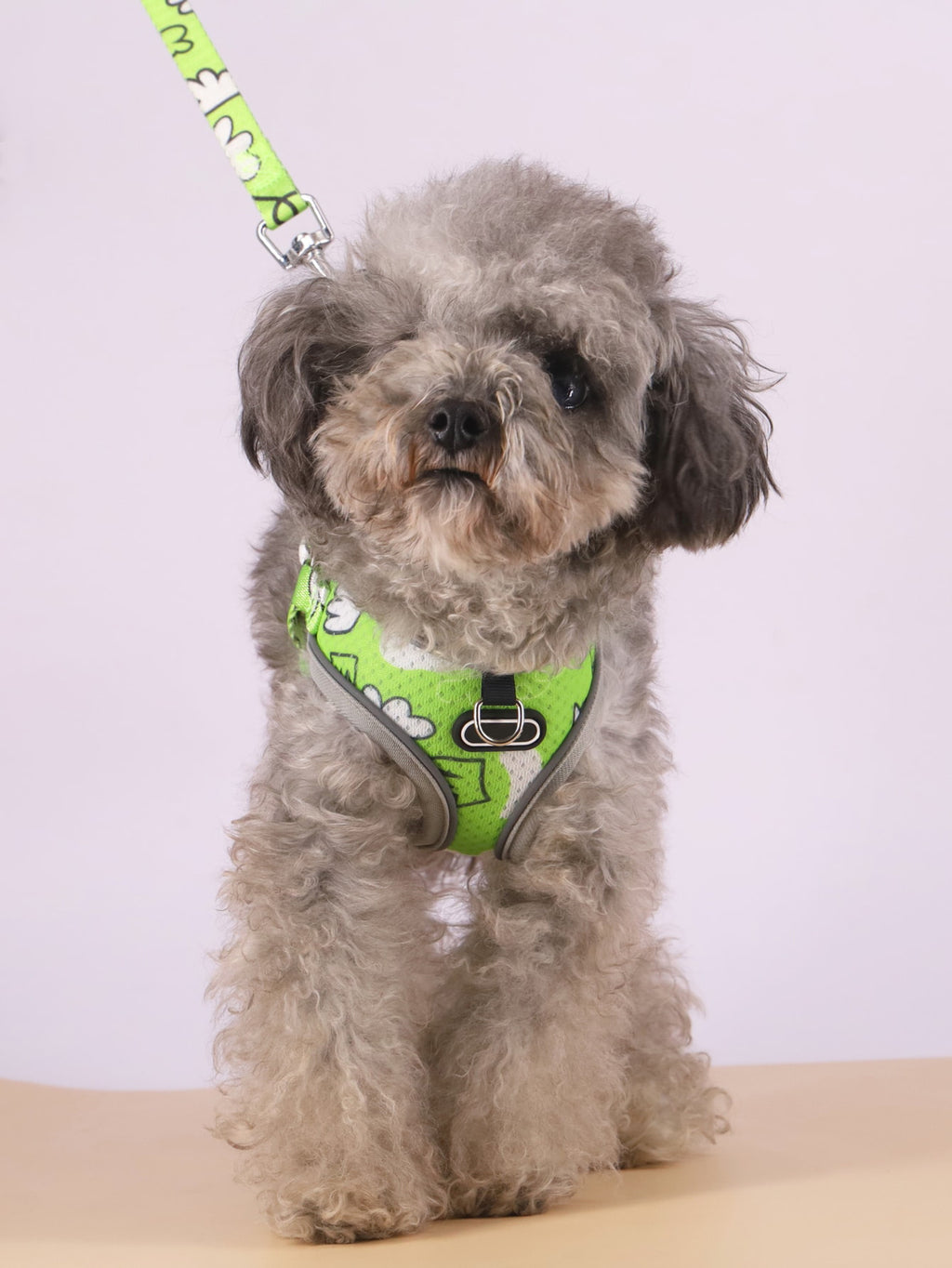 Pet's Chest-back Traction Dog Walking Chest Strap