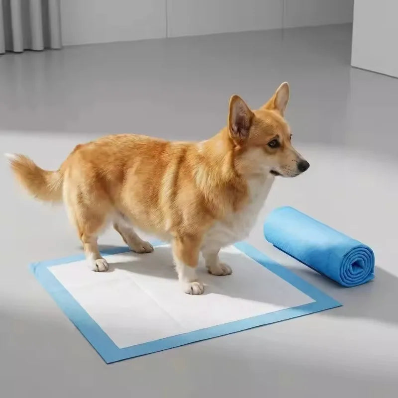 5/10 Pièces Alèses pour Animaux Super Absorbantes Jetables pour Véhicules, Camping, Nettoyage Domestique, Voyages