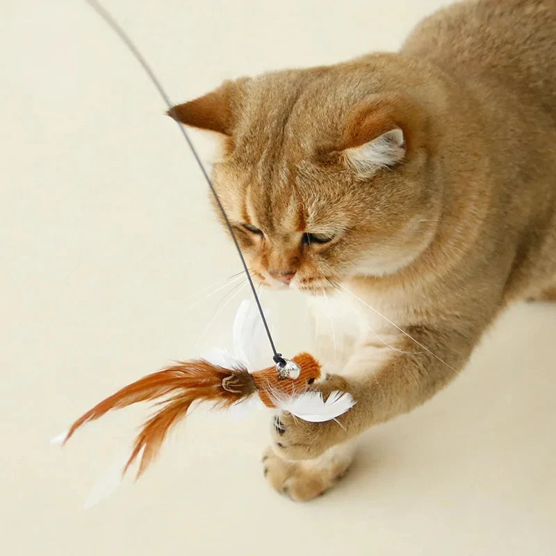 Baguette amusante en plumes d'oiseau pour chat avec accessoires de cloche, jouets interactifs pour chats, chatons, chasse, teaser, exercice, produits pour animaux de compagnie