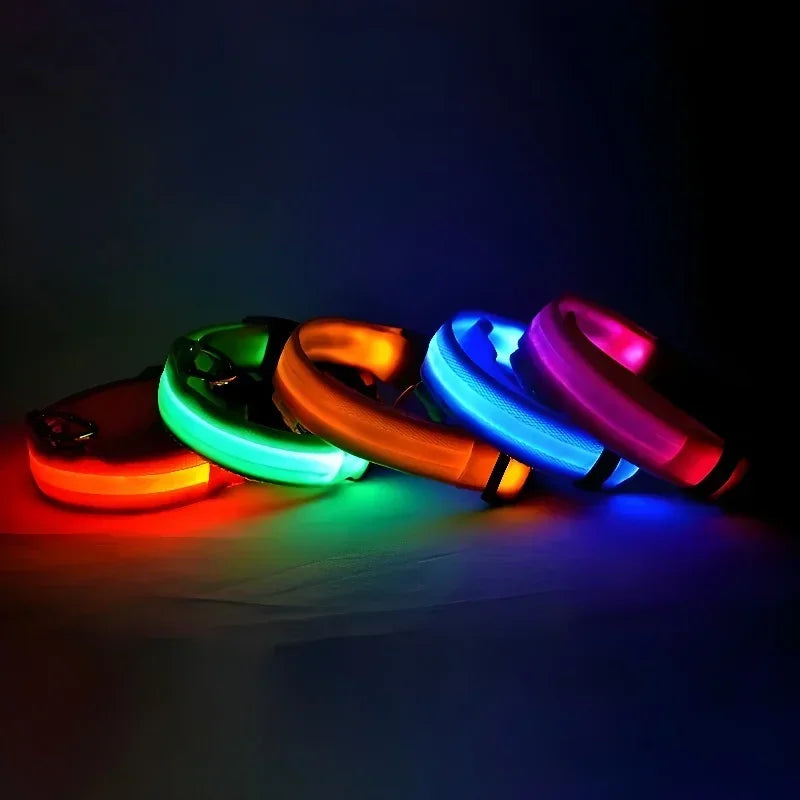 Collier pour chien en nylon LED de sécurité nocturne clignotant, laisse pour chien lumineuse fluorescente, accessoires pour chiens