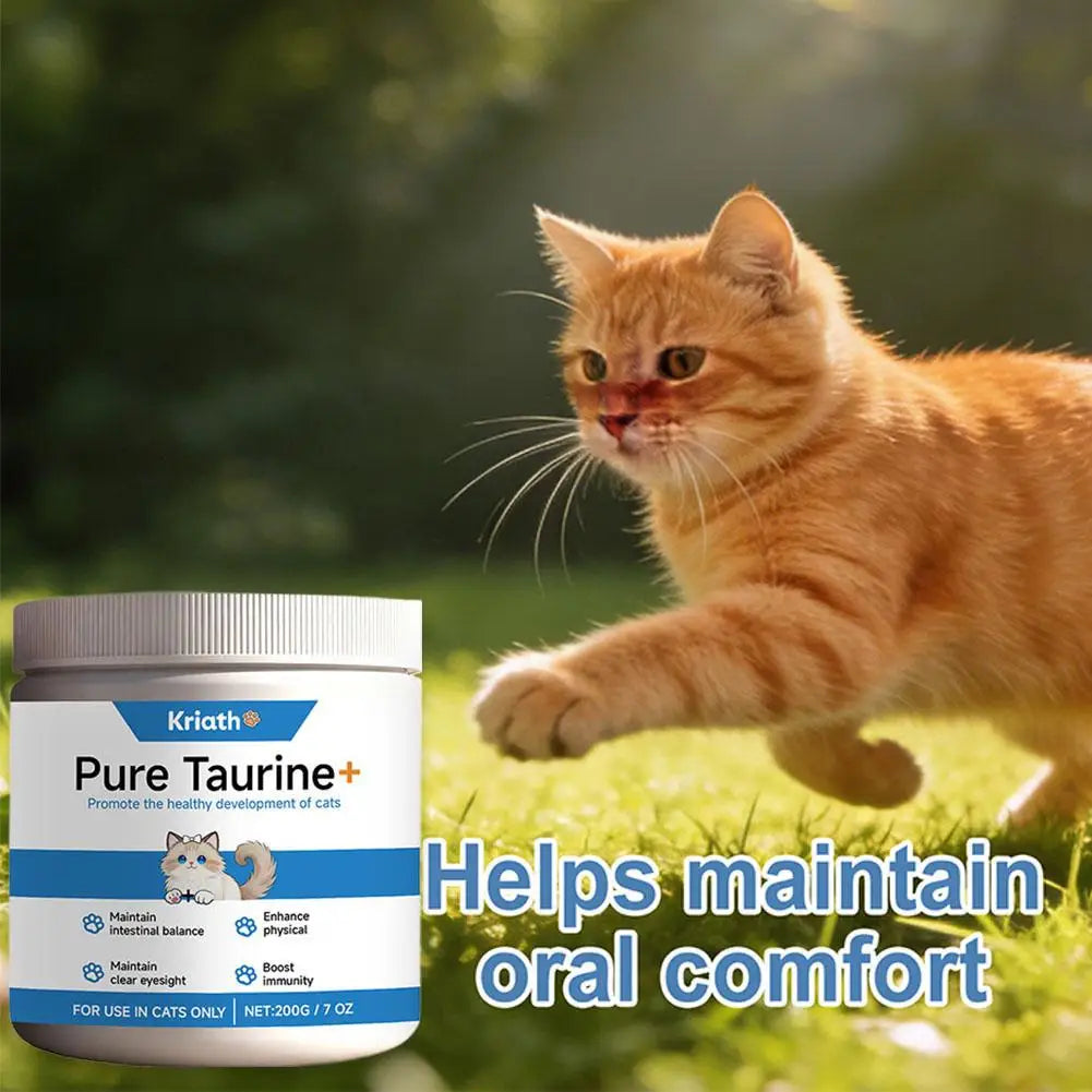 Poudre de Taurine pour Chats Formule Douce Soutient le Cœur, la Vue et la Santé Générale Complément de Soin Quotidien Pour le Confort et le Bien-Être