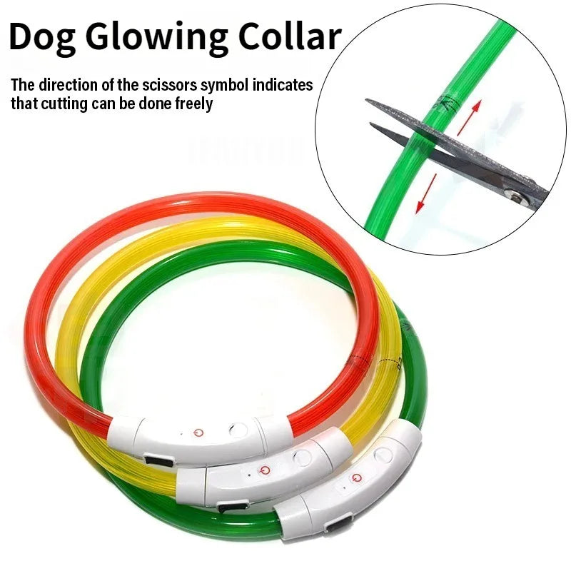 Collier lumineux rechargeable pour chien en fibre optique, accessoire pour animaux de compagnie brillant la nuit, collier de sécurité détachable pour une visibilité nocturne accrue