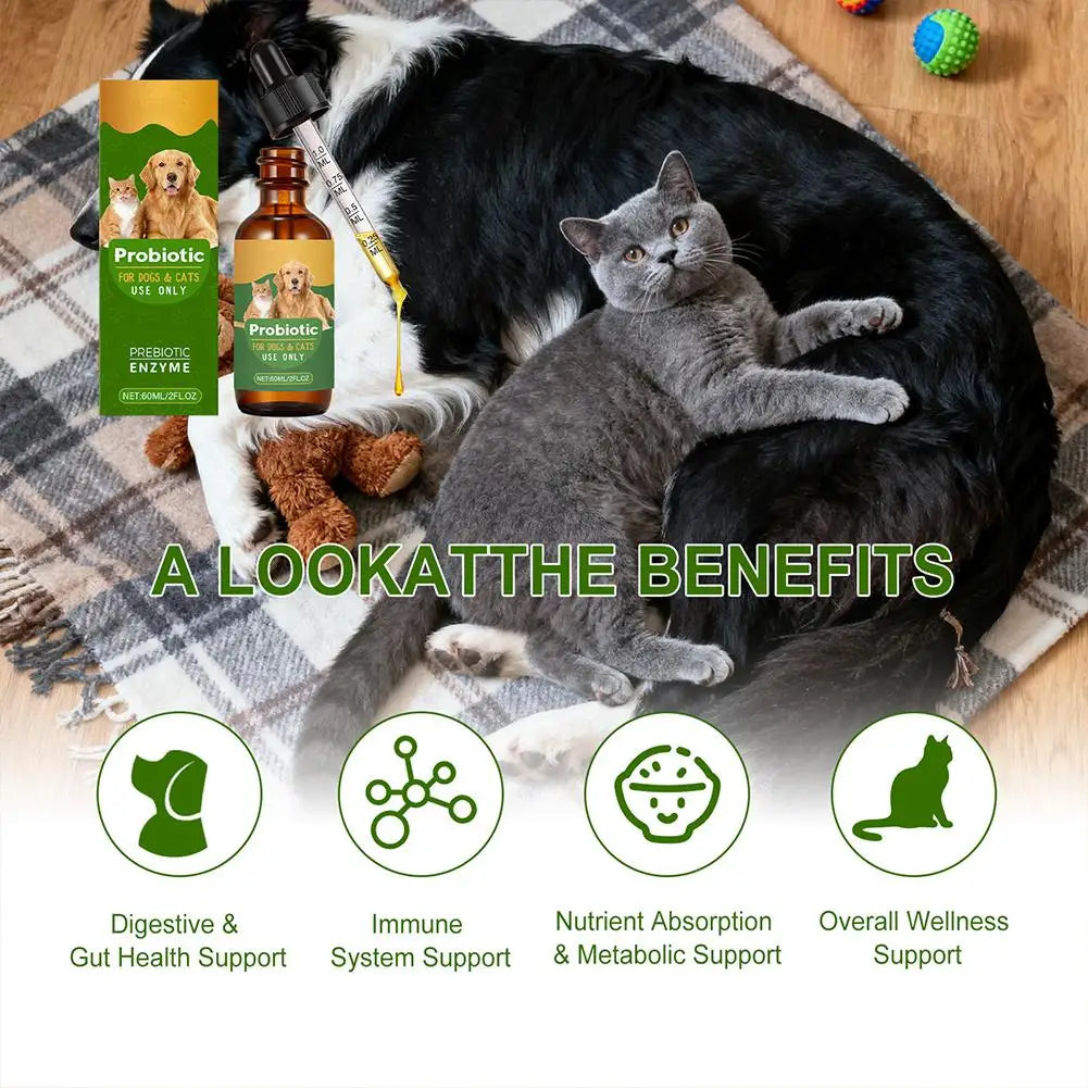 Gouttes de probiotiques 60ML de supplément nutritionnel pour animaux de compagnie contenant des enzymes utilisées pour la digestion et la santé immunitaire quotidienne des animaux.