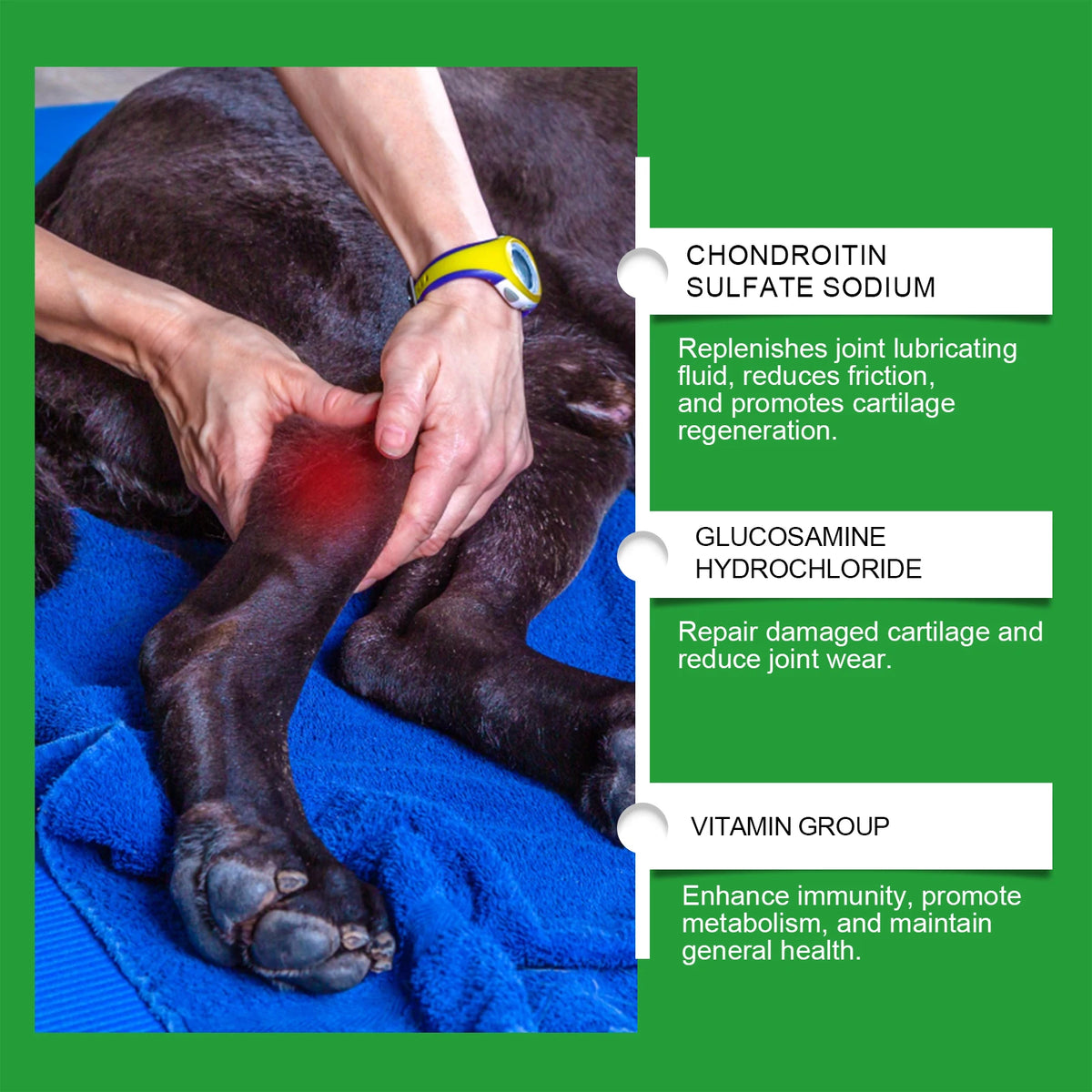 Comprimés pour les articulations du chien, favorisent la mobilité articulaire, stimulent la vitalité, maintiennent la santé du cartilage, soutien nutritionnel quotidien pour les chiens