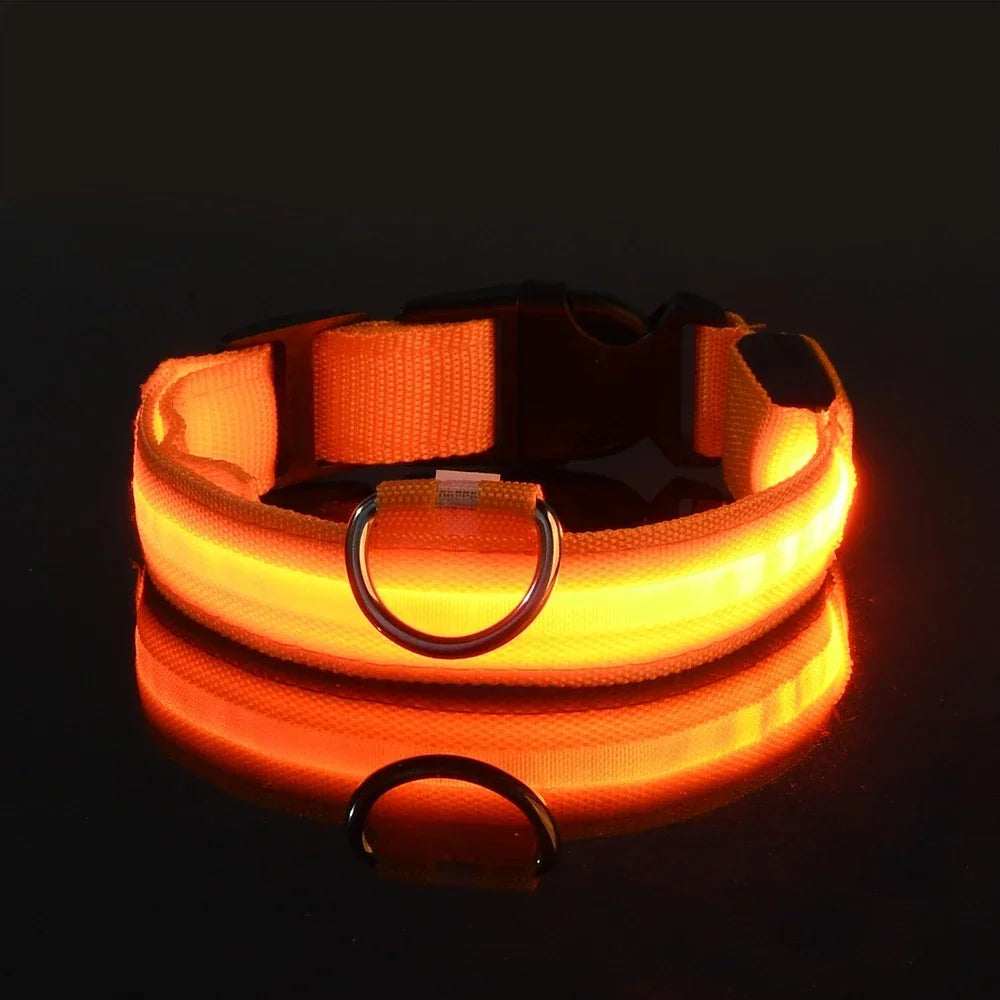 Collar de perro de nylon LED de seguridad nocturna intermitente que brilla en la oscuridad, correa para perro, accesorios luminosos fluorescentes para perros, collar