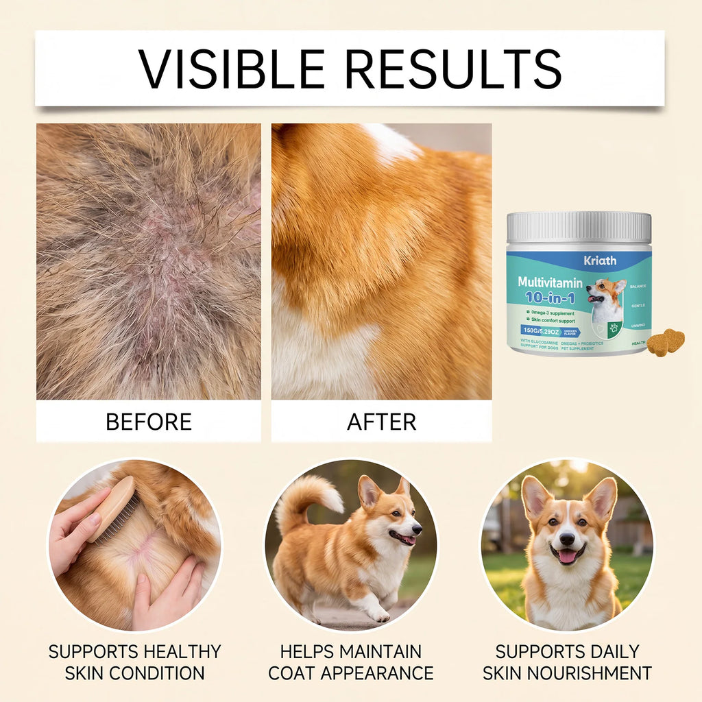 Complément Multivitaminé 10-en-1 pour Chien Kriath - Favorise la santé de la peau et du pelage, Soutient la santé intestinale, la mobilité et la santé globale