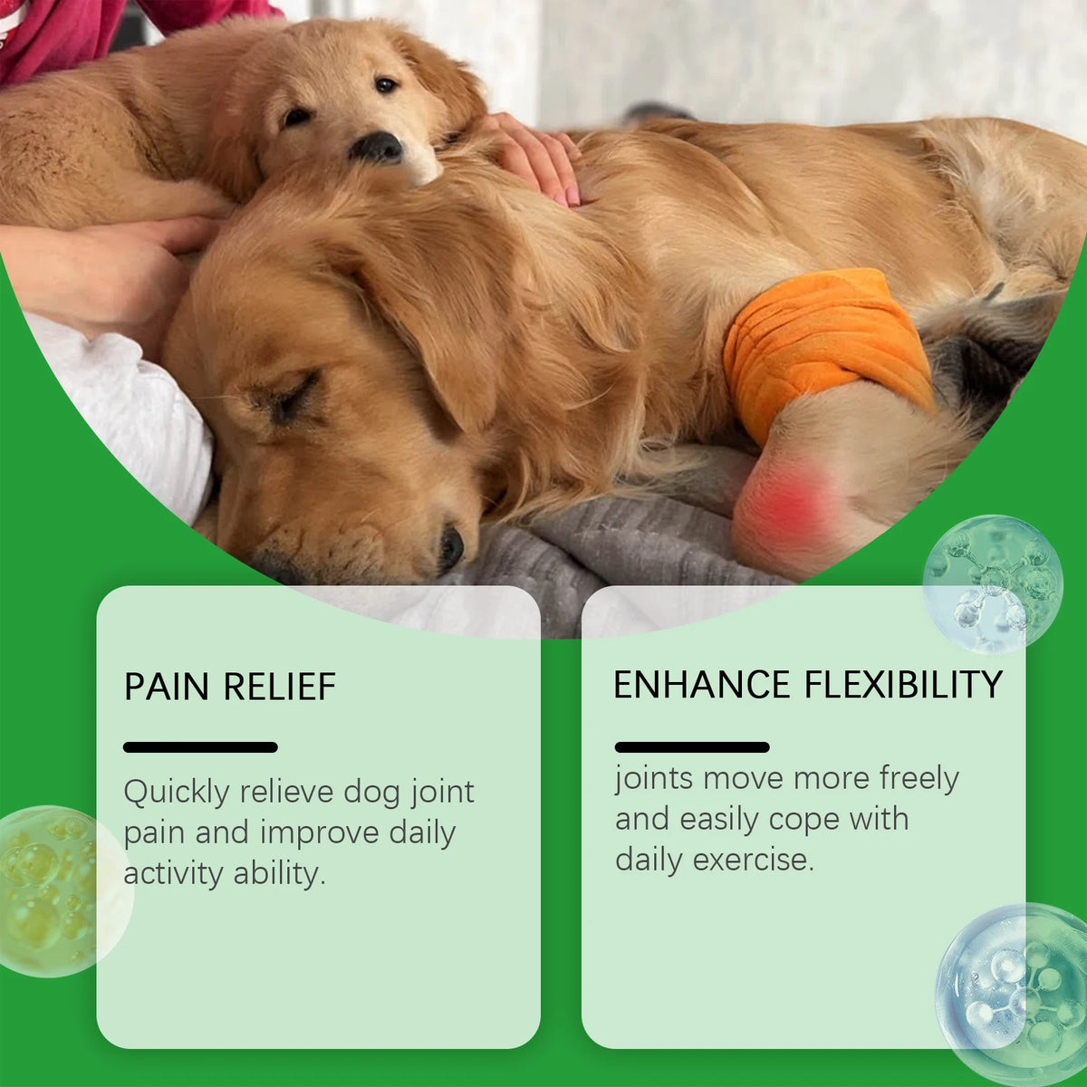 Comprimés pour les articulations du chien, favorisent la mobilité articulaire, stimulent la vitalité, maintiennent la santé du cartilage, soutien nutritionnel quotidien pour les chiens
