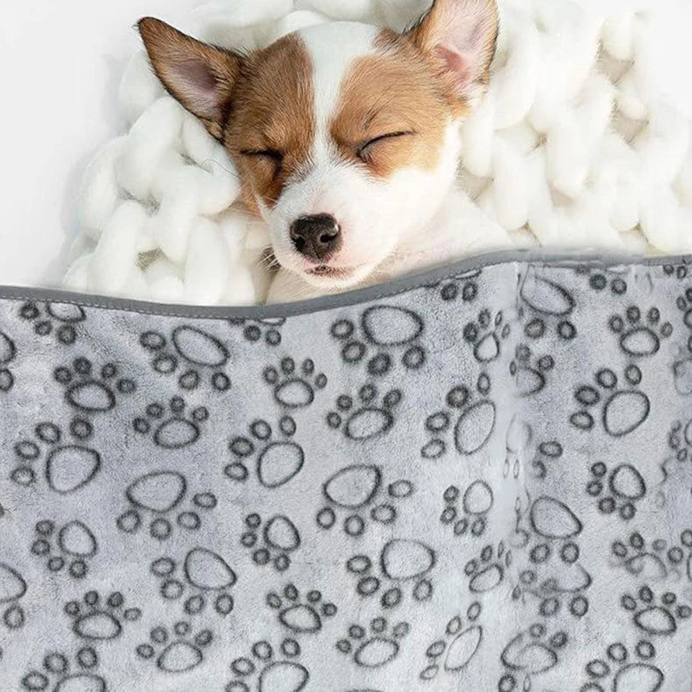 Winter Soft Dog Blanket Washable, Cat Blanket for Indoor Cats Mat Large Medium Small Dog Gifts Puppy Essentials (Grey) Bed