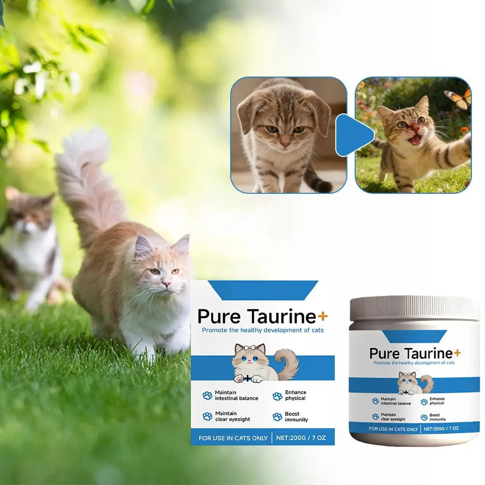 Poudre de taurine pour chat, formule douce pour le confort du corps de votre animal, massage et nutrition. Poudre de taurine pour chats.