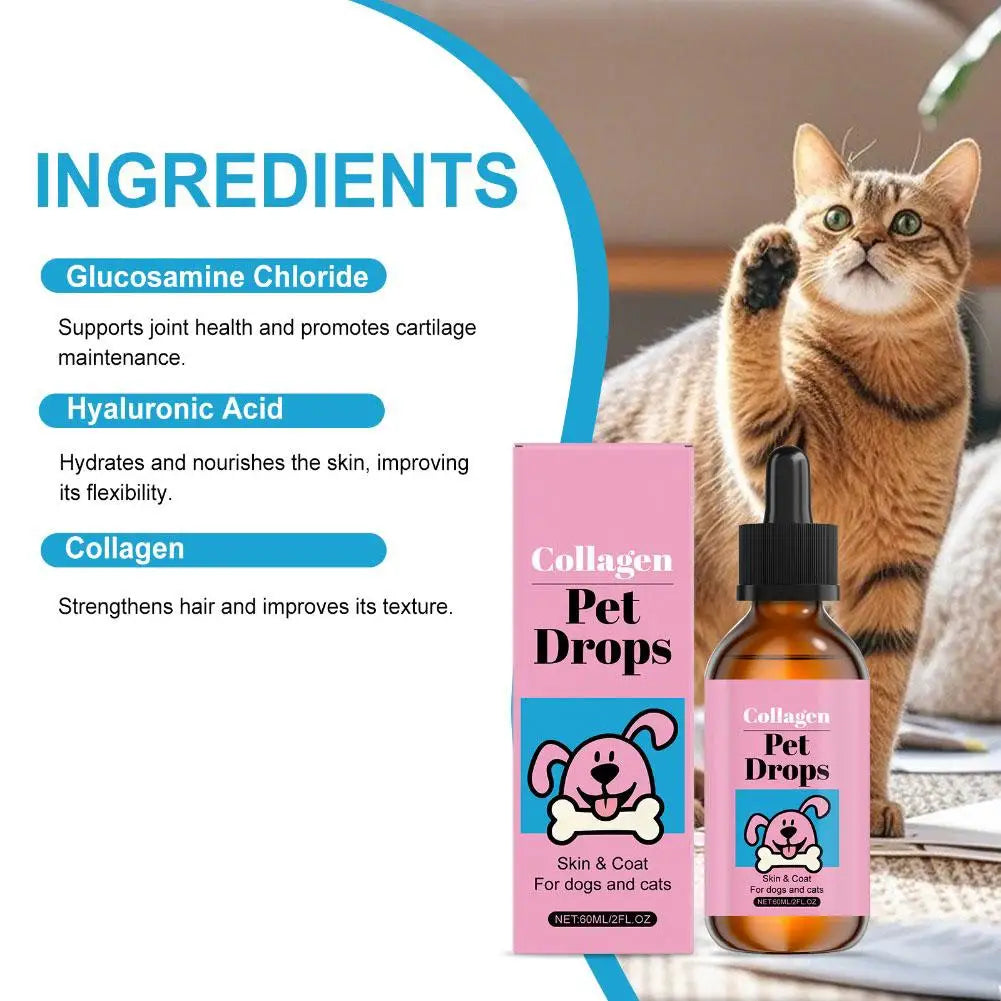 Pet Collagen Gouttes 60ml Complément Peau et Pelage pour Chiens Chats Liquide Hydratant Complément Nutrition Quotidienne Accessoires pour Chiens