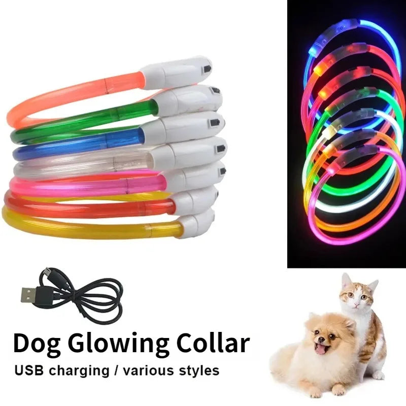 Collier lumineux rechargeable pour chien en fibre optique, accessoire pour animaux de compagnie brillant la nuit, collier de sécurité détachable pour une visibilité nocturne accrue