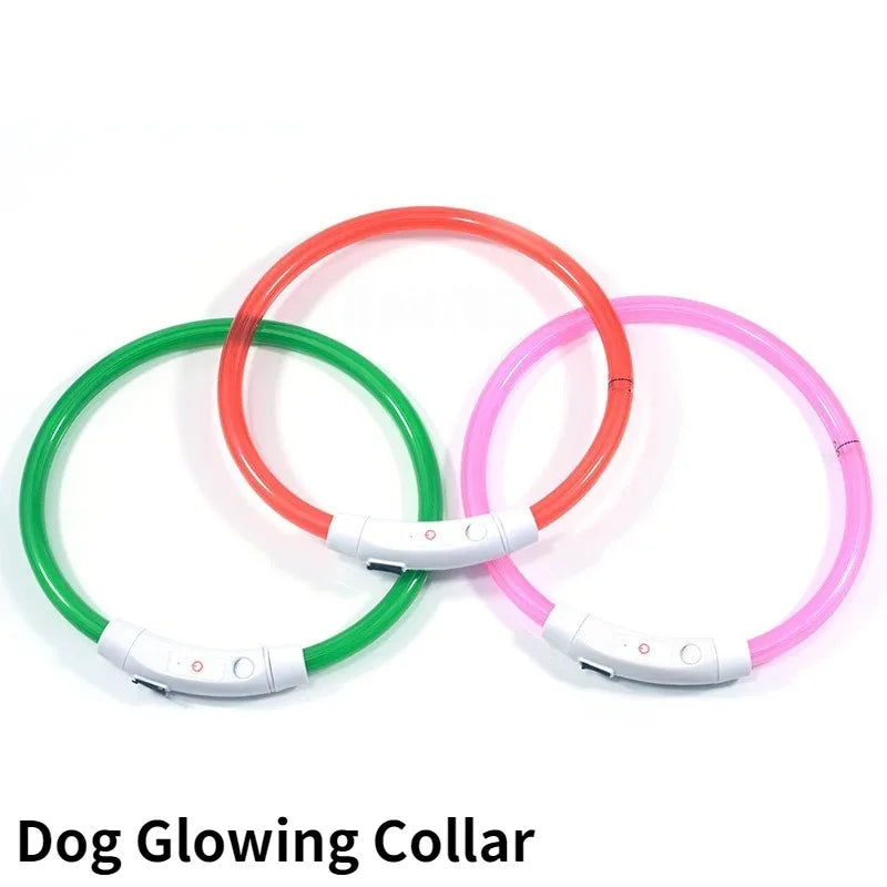 Collier lumineux rechargeable pour chien en fibre optique, accessoire pour animaux de compagnie brillant la nuit, collier de sécurité détachable pour une visibilité nocturne accrue
