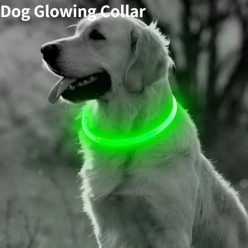 Collier lumineux rechargeable pour chien en fibre optique, accessoire pour animaux de compagnie brillant la nuit, collier de sécurité détachable pour une visibilité nocturne accrue