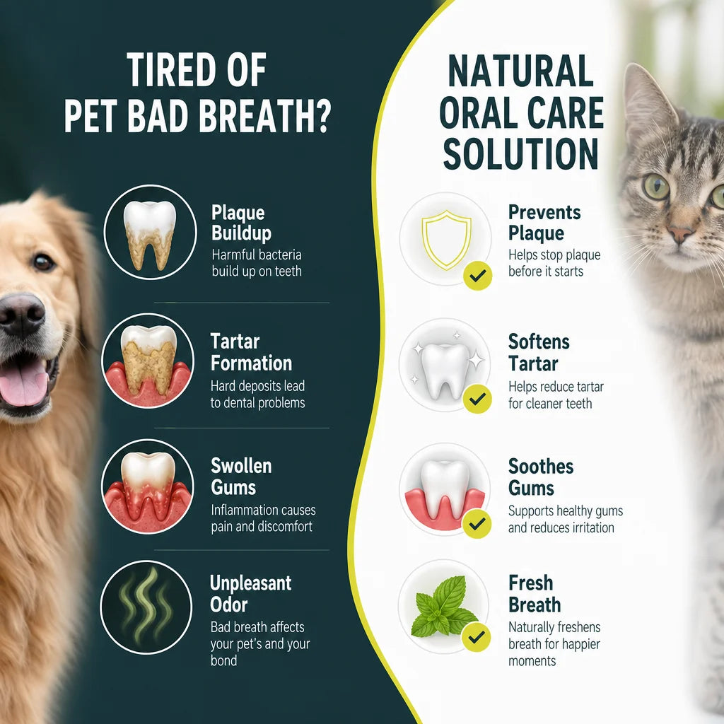 Poudre dentaire naturelle pour animaux de compagnie - Nettoie les dents des chiens, élimine la plaque dentaire, traite la mauvaise haleine des chats, élimine le tartre, complément alimentaire pour l'hygiène bucco-dentaire