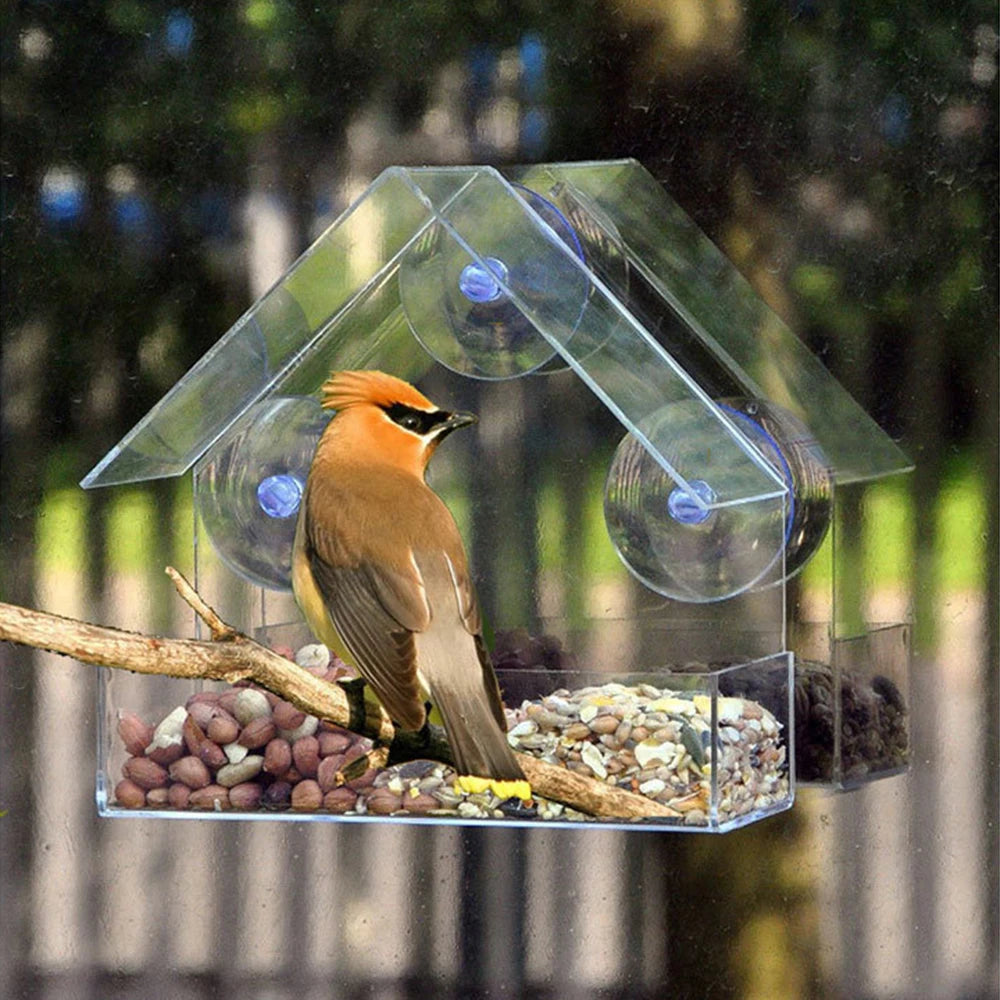 1PC Bird feeder with transparent window and external bird feeder with suction cup suitable for outdoor garden use