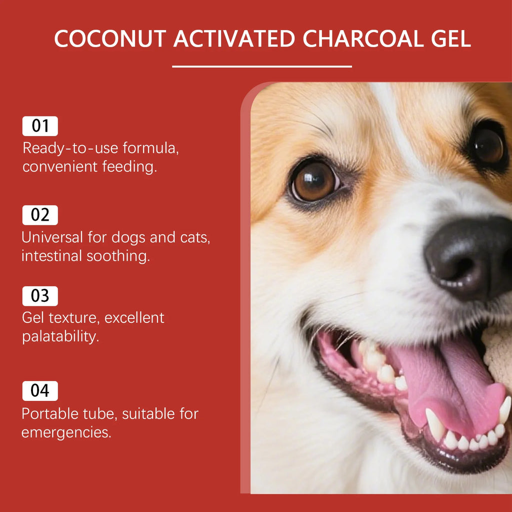 Gel de soin à la coquille de noix de coco pour chiens et chats : soutien intestinal, complément pour la santé digestive, soulagement, équilibre digestif, soin de la flore intestinale