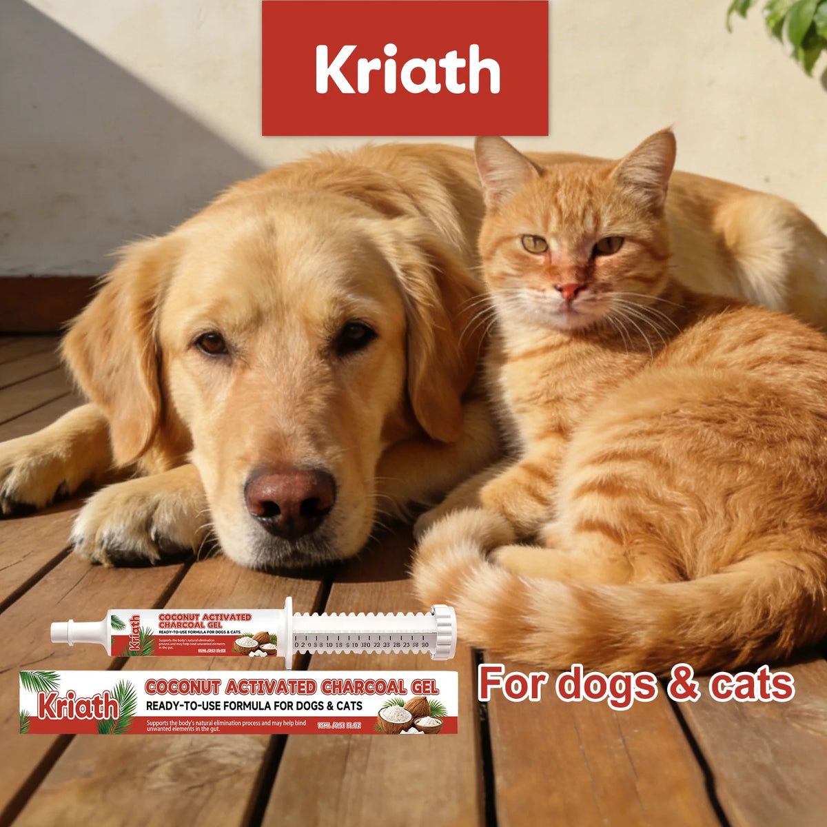 Gel de soin à la coquille de noix de coco pour chiens et chats : soutien intestinal, complément pour la santé digestive, soulagement, équilibre digestif, soin de la flore intestinale