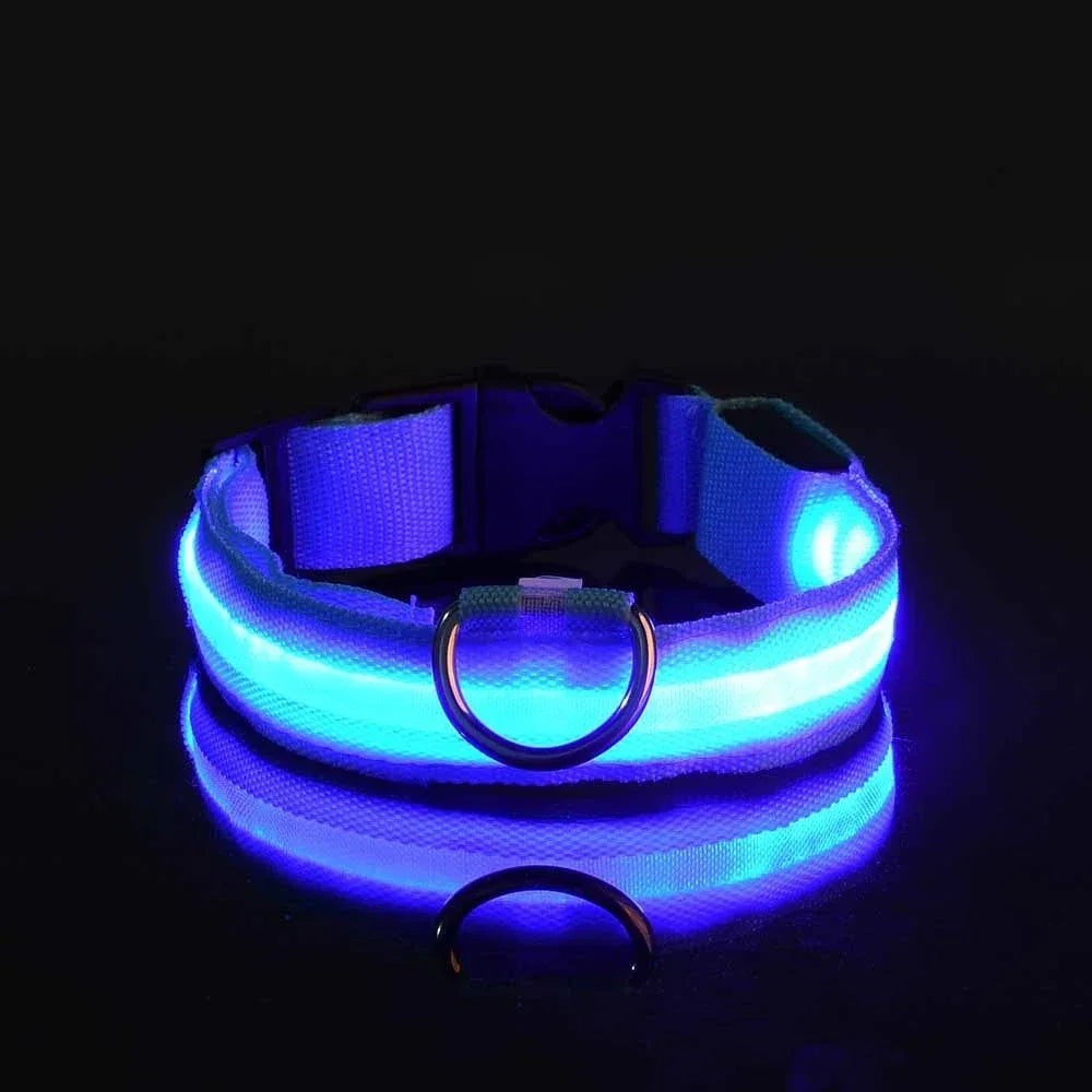 Collier pour chien en nylon LED de sécurité nocturne clignotant, laisse pour chien lumineuse fluorescente, accessoires pour chiens