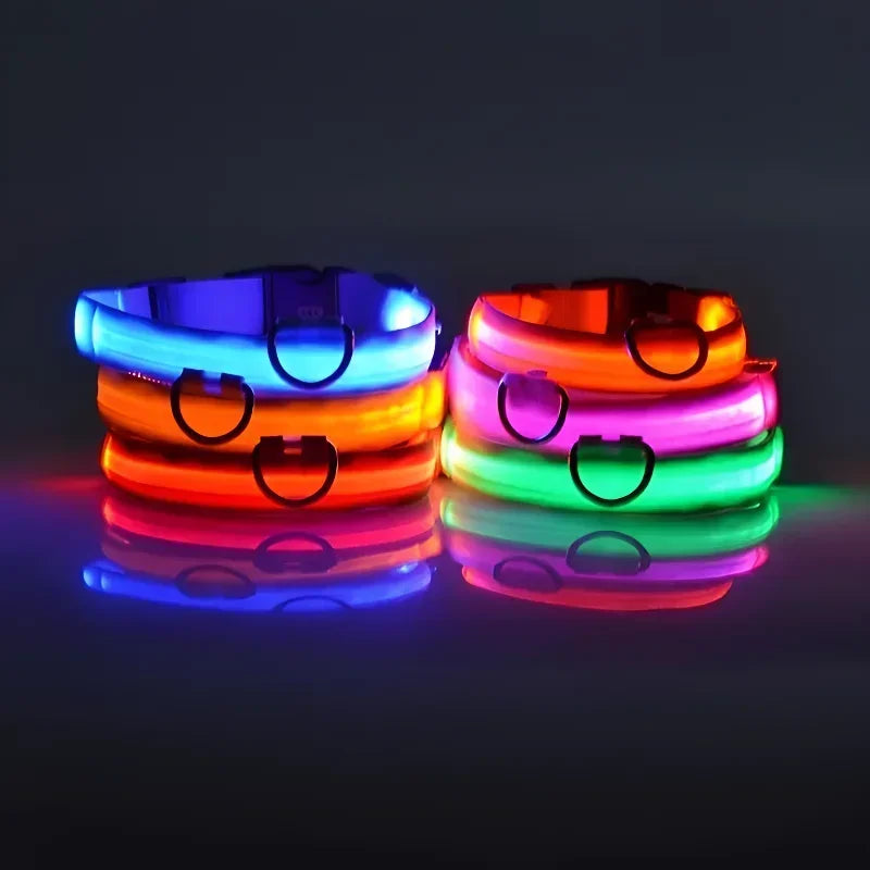 Collier pour chien en nylon LED de sécurité nocturne clignotant, laisse pour chien lumineuse fluorescente, accessoires pour chiens
