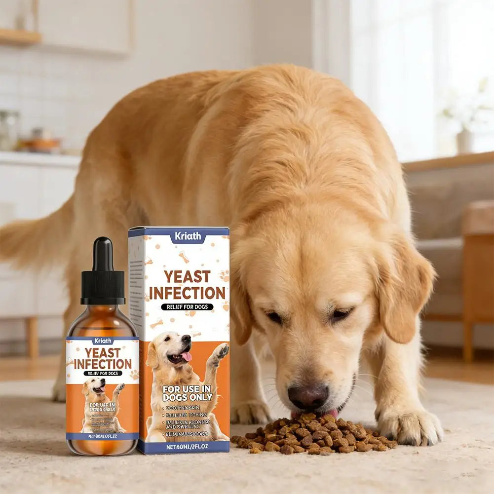 60ml Gouttes Naturelles à Base de Plantes pour les Infections à Levures chez les Chiens Complément pour la Peau et les Oreilles des Animaux Soulagement Doux des Démangeaisons et de l'Inconfort Sûr