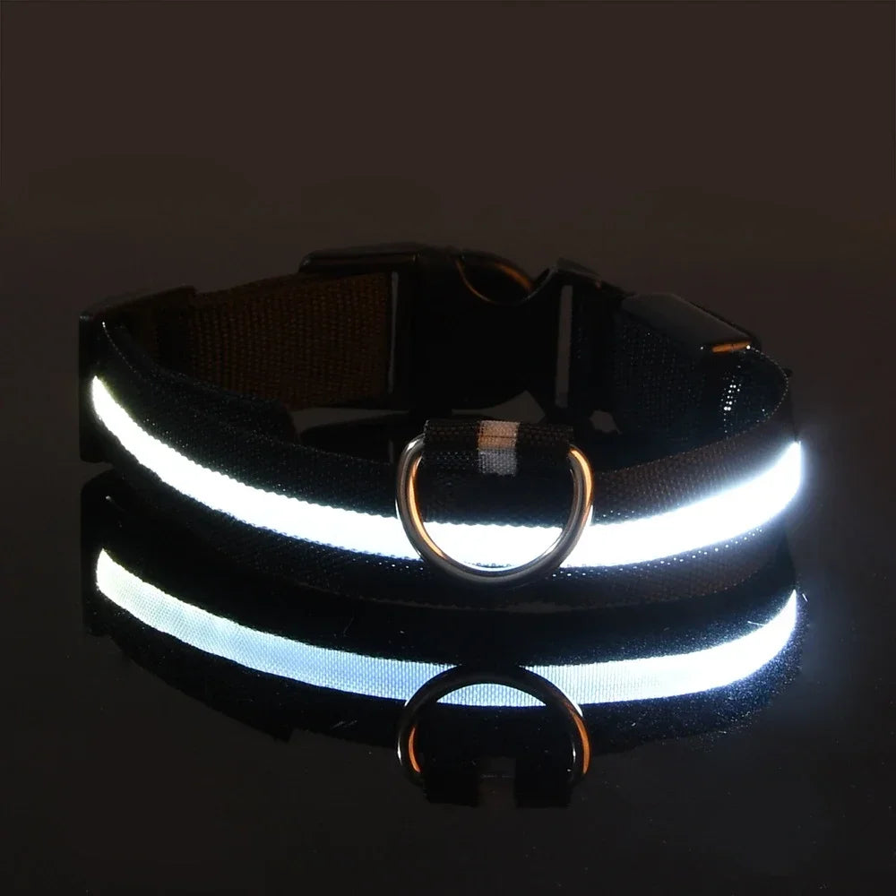 Collar de perro de nylon LED de seguridad nocturna intermitente que brilla en la oscuridad, correa para perro, accesorios luminosos fluorescentes para perros, collar