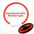 Collier lumineux rechargeable pour chien en fibre optique, accessoire pour animaux de compagnie brillant la nuit, collier de sécurité détachable pour une visibilité nocturne accrue