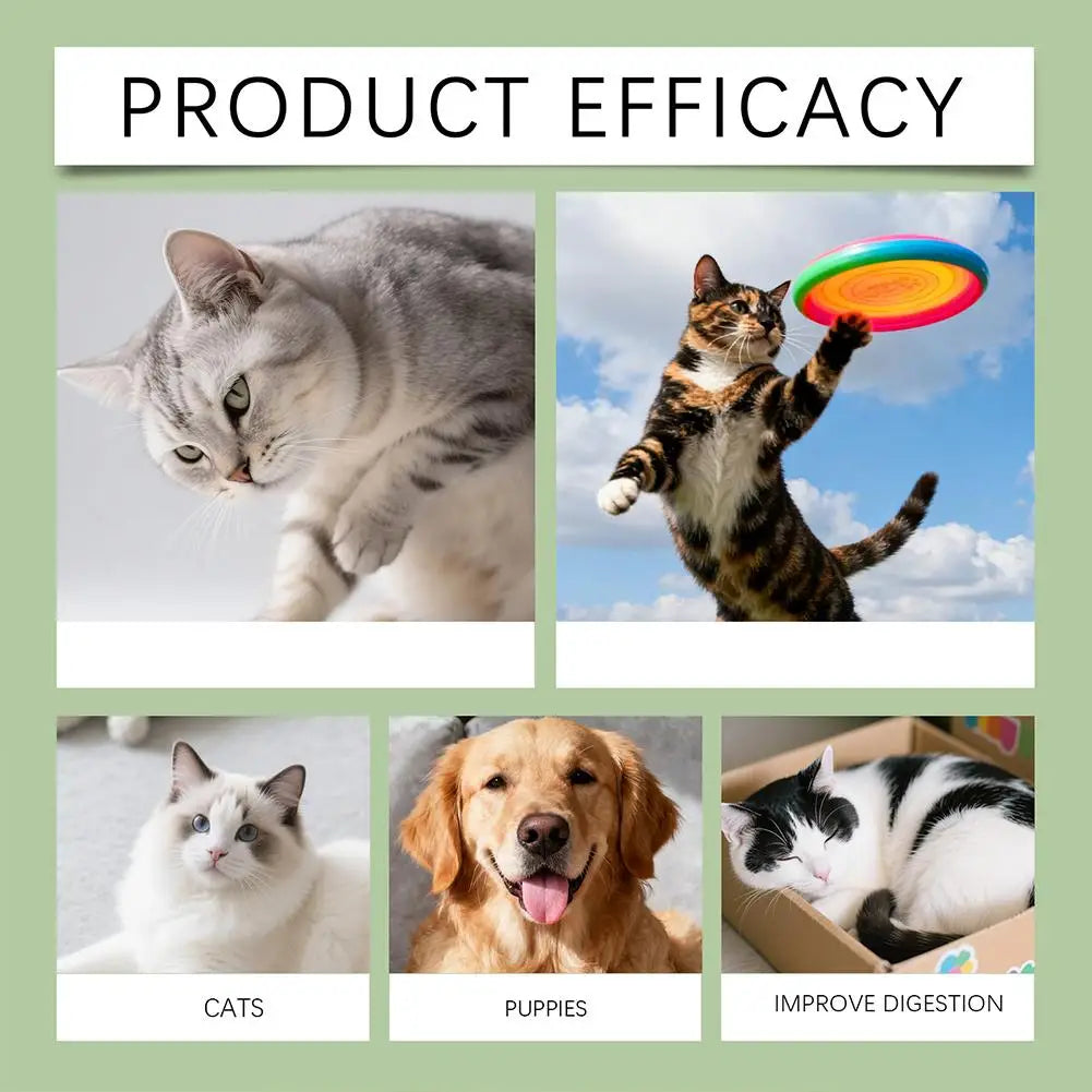 Gouttes de probiotiques 60ML de supplément nutritionnel pour animaux de compagnie contenant des enzymes utilisées pour la digestion et la santé immunitaire quotidienne des animaux.