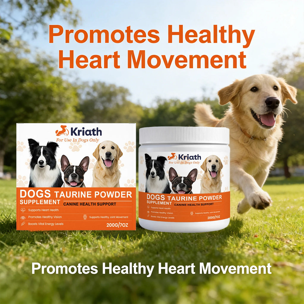 Poudre de Taurine pour Chiens Soutient la Santé Cardiaque Augmente les Niveaux d'Énergie Vitale Maintient la Mobilité Articulaire Saine Compléments Nutritionnels Quotidien