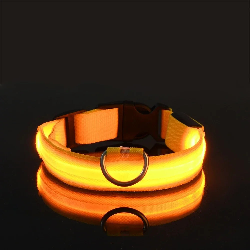 Collar de perro de nylon LED de seguridad nocturna intermitente que brilla en la oscuridad, correa para perro, accesorios luminosos fluorescentes para perros, collar