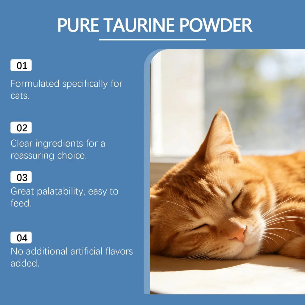 Compléments Alimentaires Pour Animaux 200g Nutrition Quotidienne Chats Compléments Alimentaires Humides Ou Secs Pour Animaux De Petite Moyenne Grande Taille Maison Voyage Refuge
