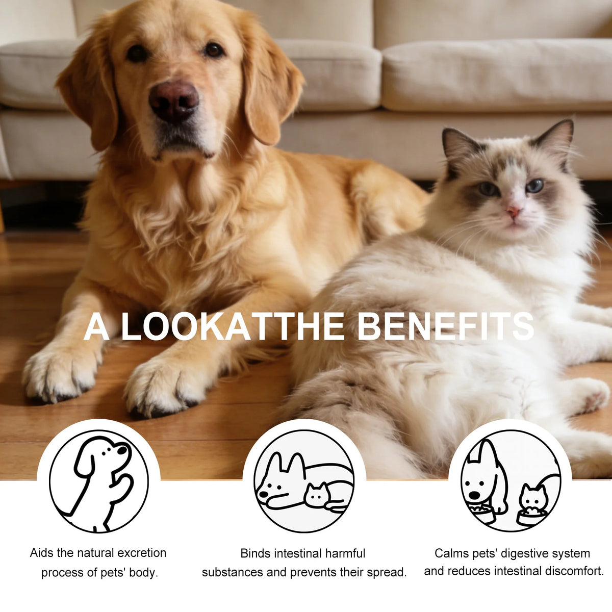 Gel de soin à la coquille de noix de coco pour chiens et chats : soutien intestinal, complément pour la santé digestive, soulagement, équilibre digestif, soin de la flore intestinale