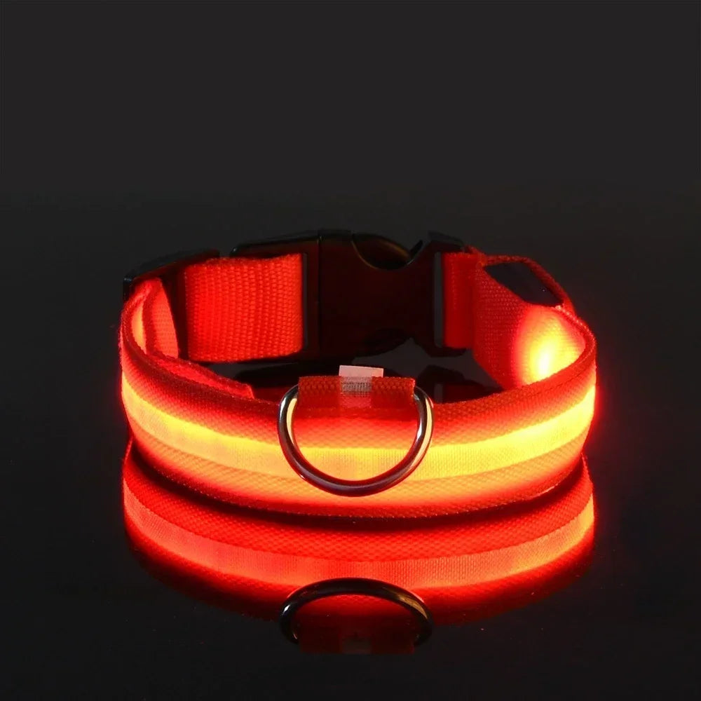 Collier pour chien en nylon LED de sécurité nocturne clignotant, laisse pour chien lumineuse fluorescente, accessoires pour chiens