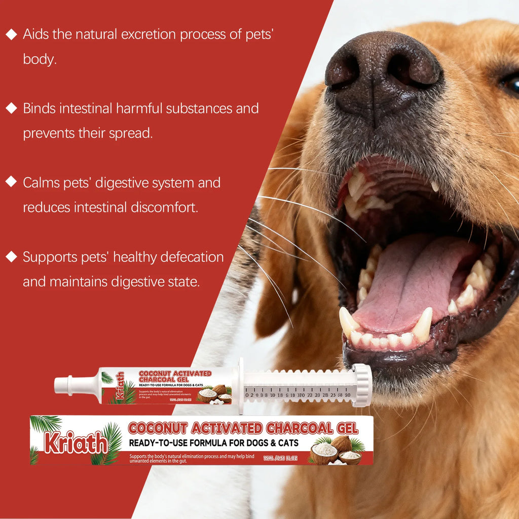 Gel de soin à la coquille de noix de coco pour chiens et chats : soutien intestinal, complément pour la santé digestive, soulagement, équilibre digestif, soin de la flore intestinale