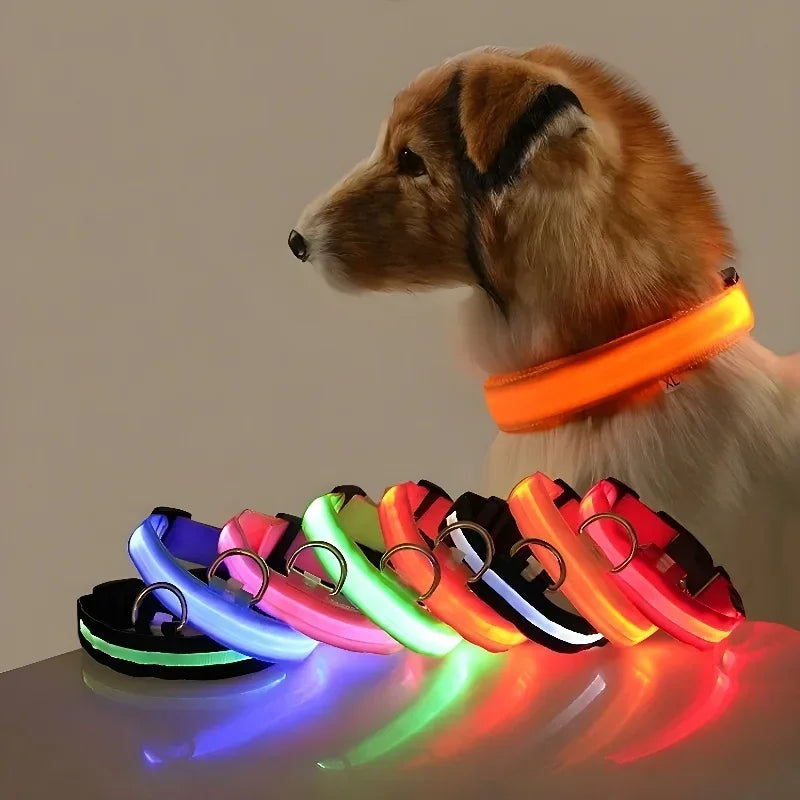 Collier pour chien en nylon LED de sécurité nocturne clignotant, laisse pour chien lumineuse fluorescente, accessoires pour chiens