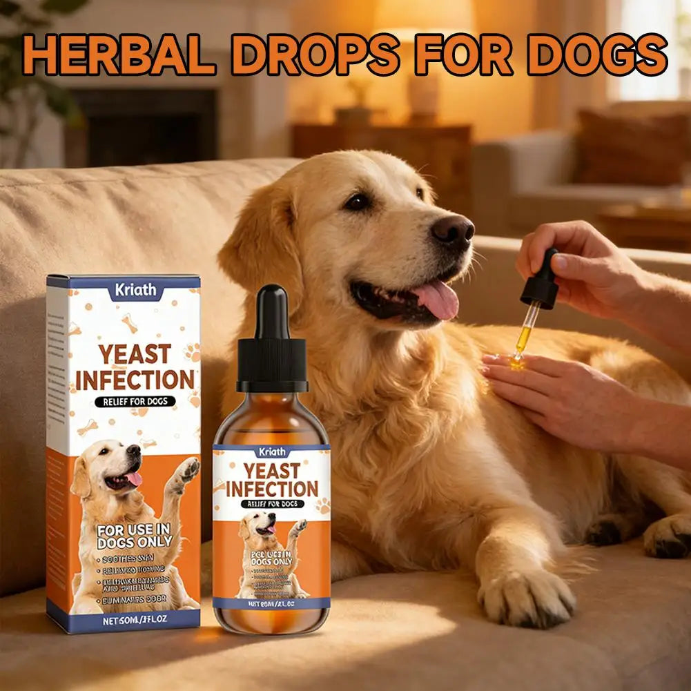 60ml Gouttes Naturelles à Base de Plantes pour les Infections à Levures chez les Chiens Complément pour la Peau et les Oreilles des Animaux Soulagement Doux des Démangeaisons et de l'Inconfort Sûr