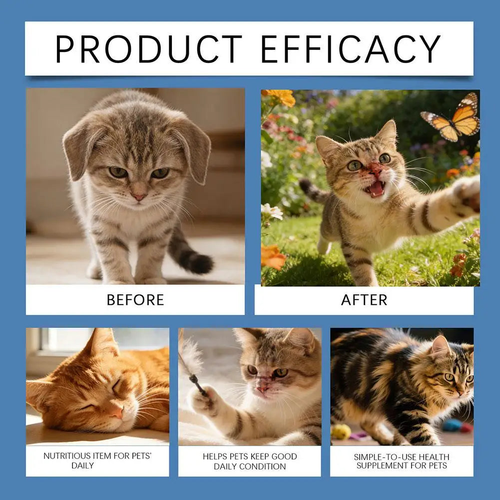 Poudre de taurine nouvelle pour chats, soutien cardiaque et visuel, bien-être quotidien, douce pour les estomacs sensibles, complément nutritif pour l'alimentation des chats