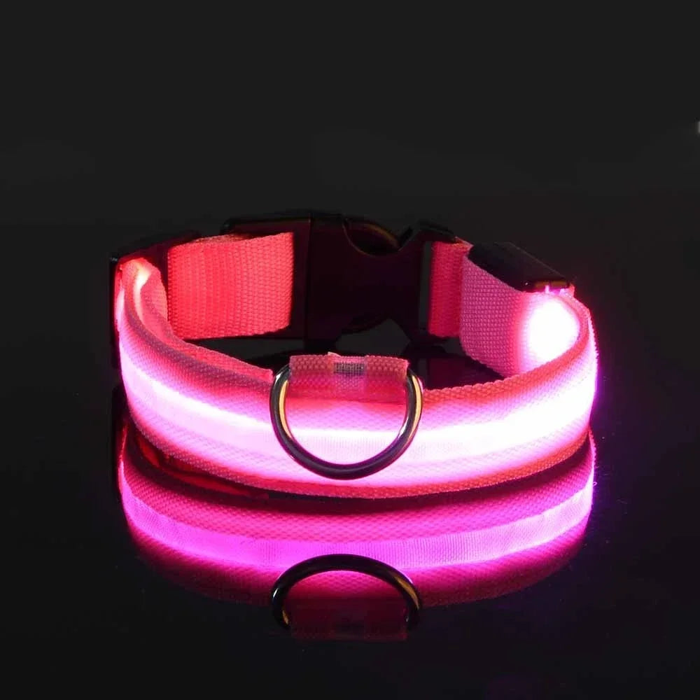 Collar de perro de nylon LED de seguridad nocturna intermitente que brilla en la oscuridad, correa para perro, accesorios luminosos fluorescentes para perros, collar