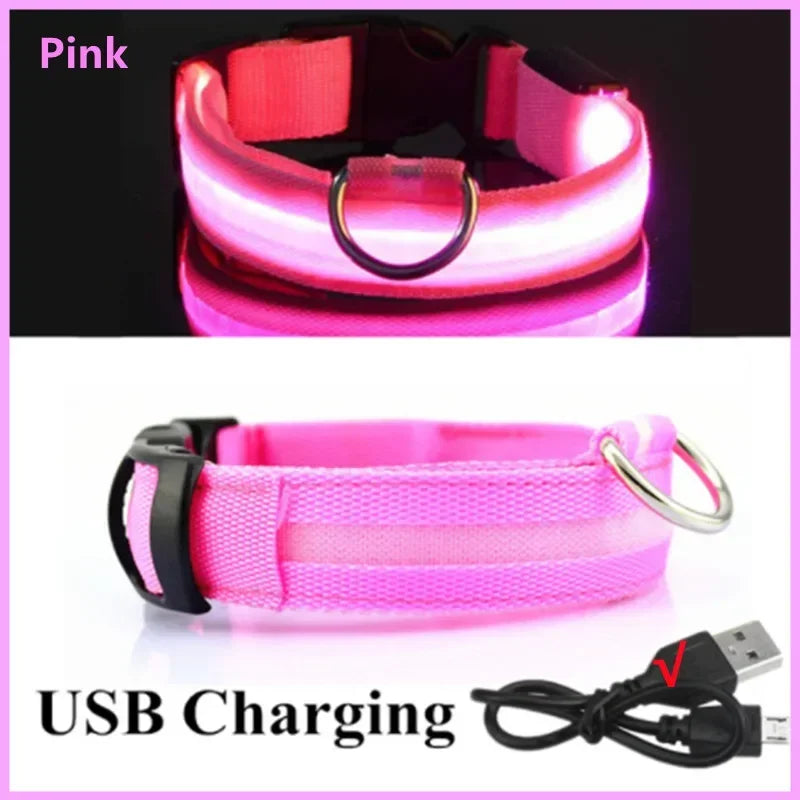 Collier Lumineux pour Chien 3 Modes, Recharge USB, LED, Colliers Détachables, Nuit LED Lumineuse, Prévention des Perte, Accessoires pour Animaux de Compagnie