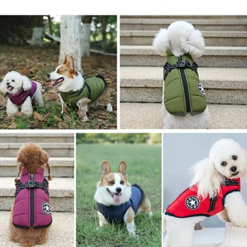 Veste pour Grand Chien avec Harnais, Vêtements d'Hiver Chauds pour Chien Labrador Imperméable, Manteau pour Grand Chien Chihuahua Bouledogue Français