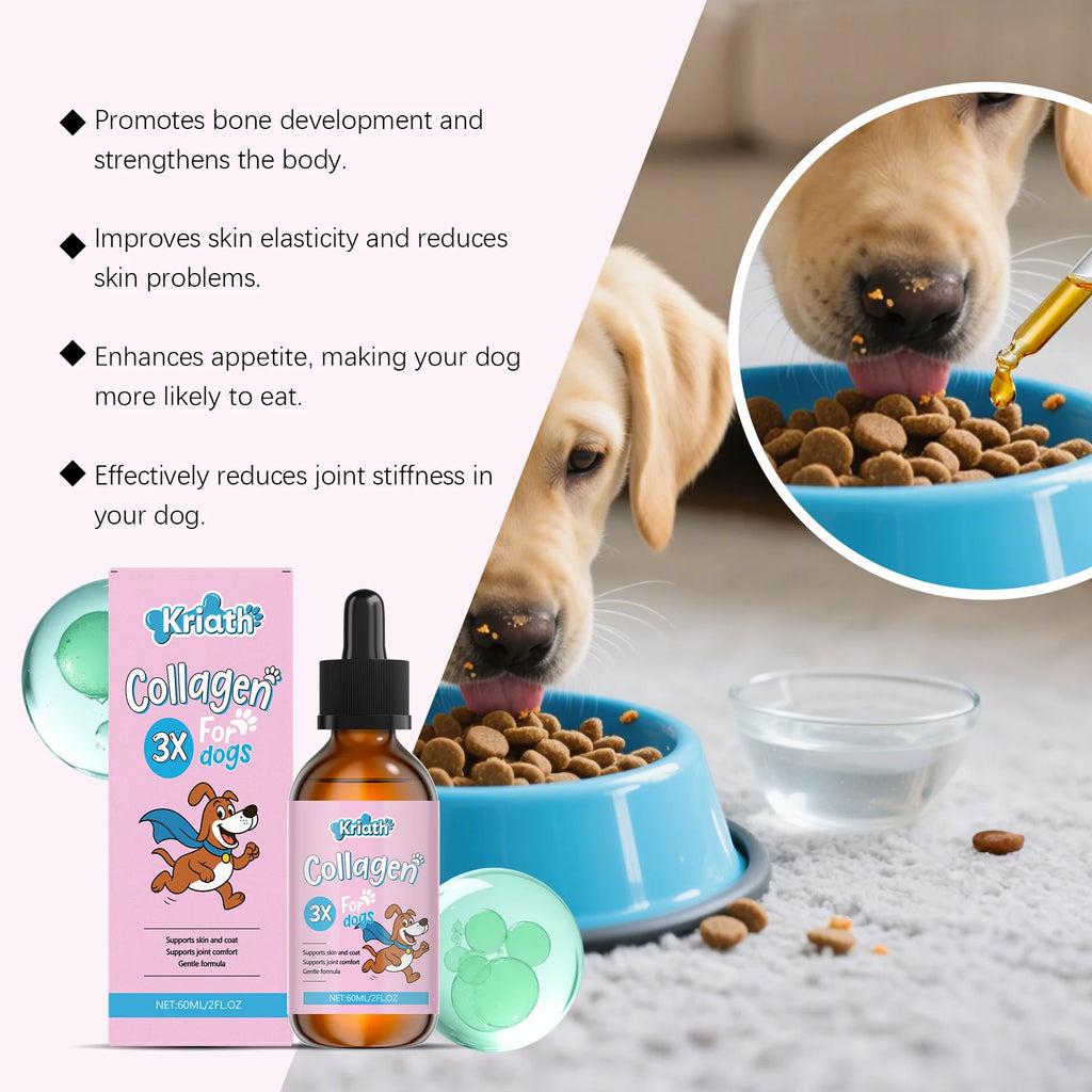 Gouttes de Soin au Collagène pour Animaux de Compagnie 60ML Formule Douce Améliore la Santé des Poils et de la Peau des Animaux Supplément Nutritionnel Quotidien Gouttes Liquides pour Chien