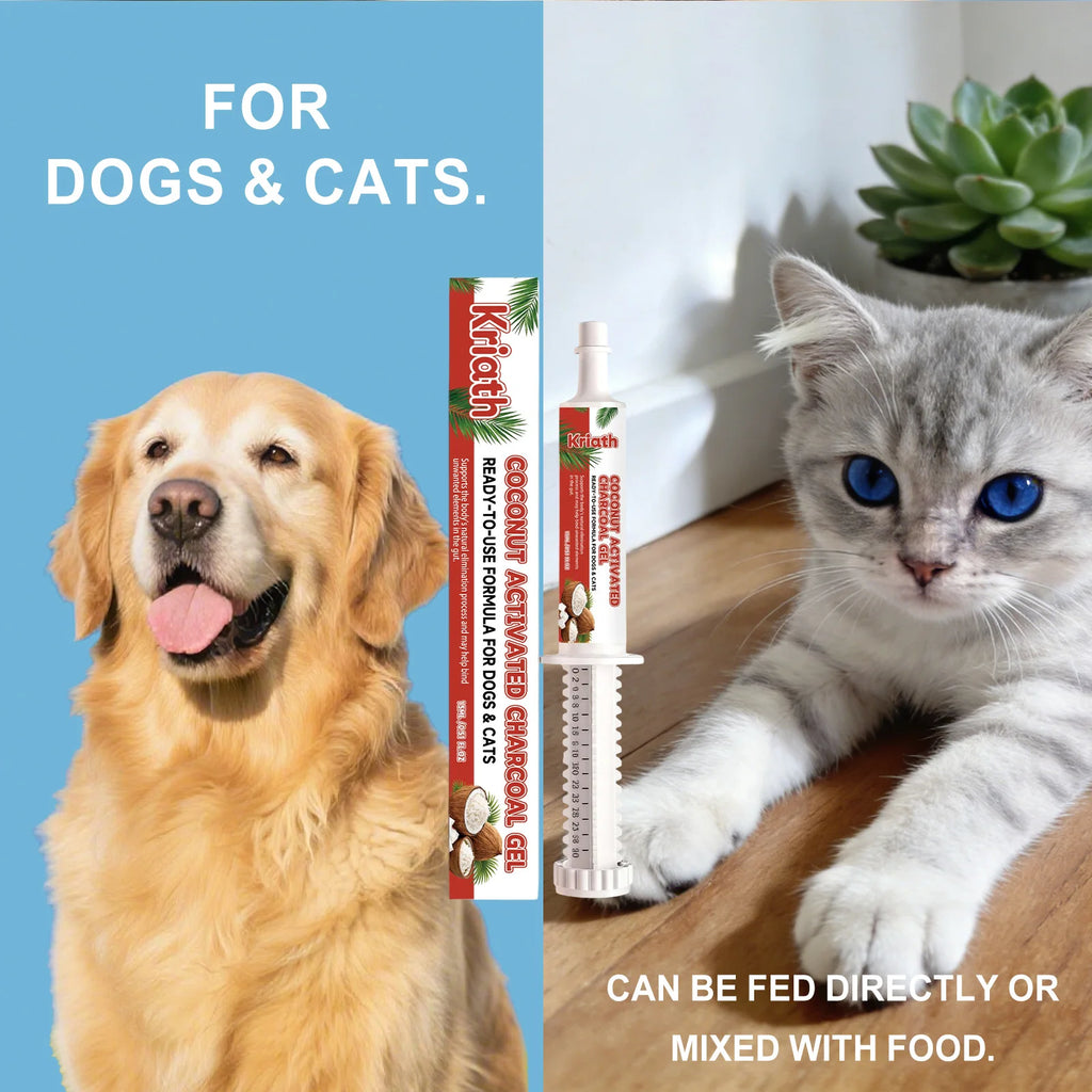 Gel de soin à la coquille de noix de coco pour chiens et chats : soutien intestinal, complément pour la santé digestive, soulagement, équilibre digestif, soin de la flore intestinale